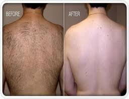 IPL_HR_Back