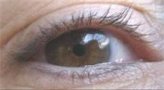 SG_LASHES