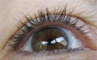SG_longer_lashes