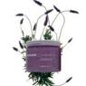 mancine_purple